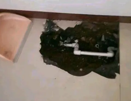 宜州卫生间测漏水多少钱